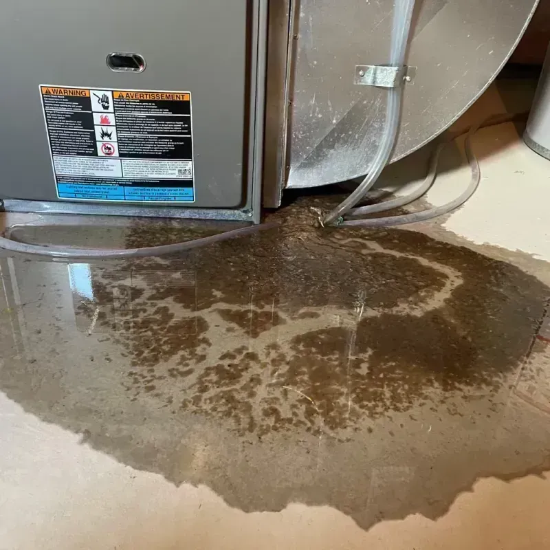 Appliance Leak Cleanup in Piatt County, IL